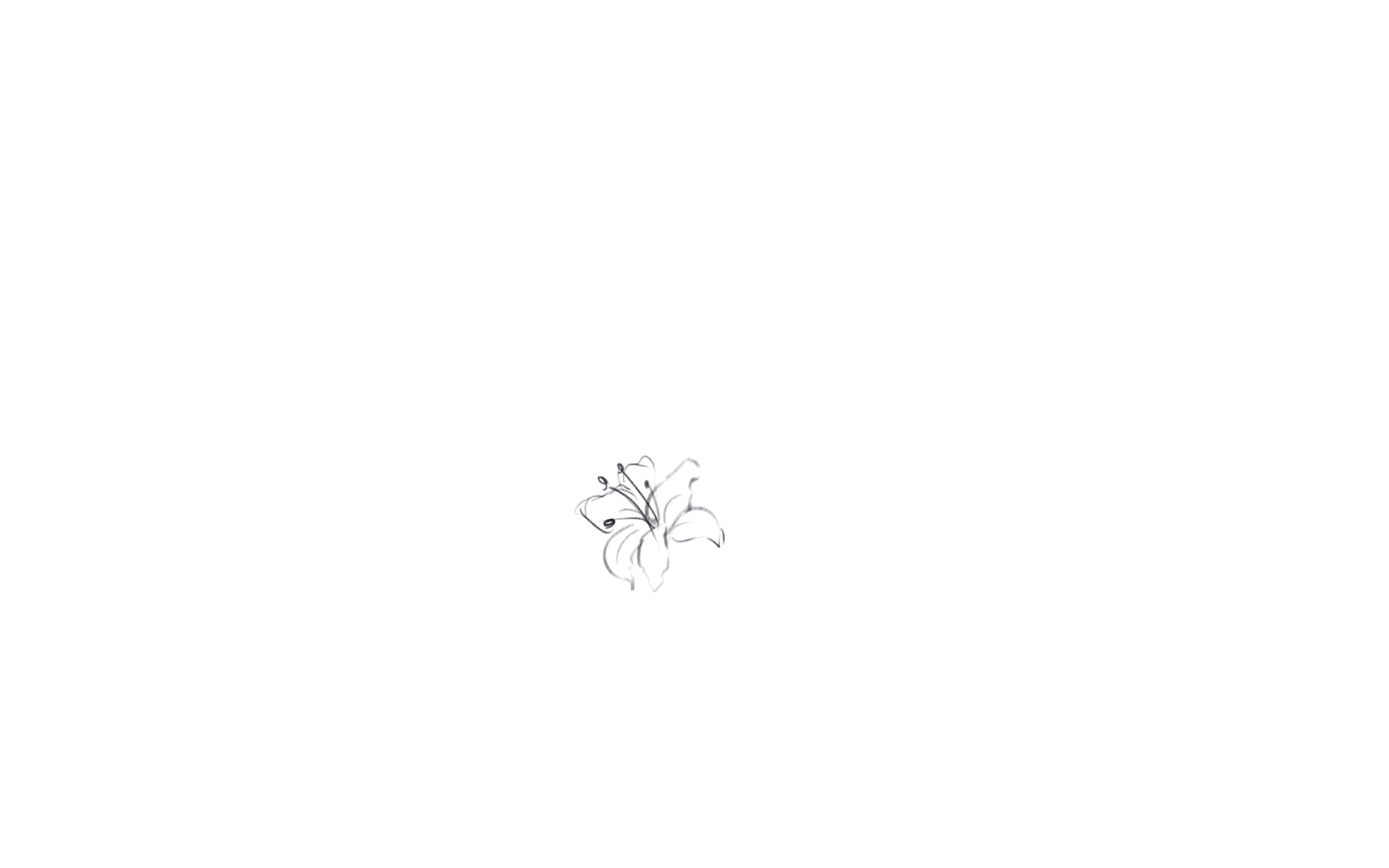 一朵花