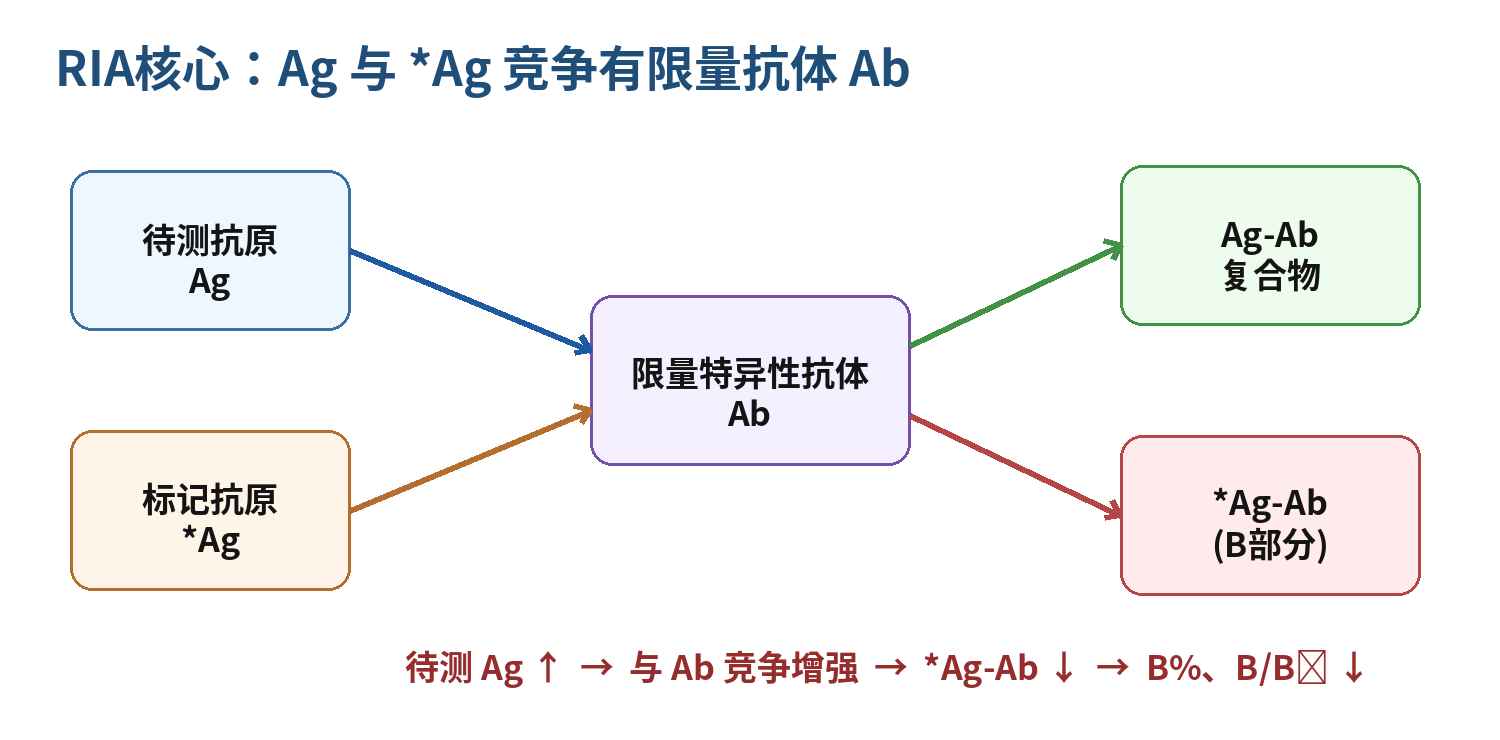 图1  RIA竞争结合原理示意（依据PPT原理重绘）