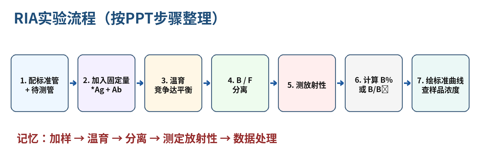 图2  RIA实验操作流程（依据PPT步骤重绘）