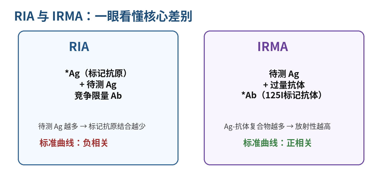 图4  RIA 与 IRMA 核心关系示意（依据PPT重绘）